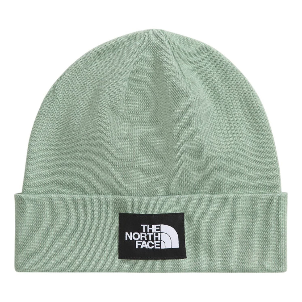 THE NORTH FACE Dock Worker Recycled Beanie 'Slate Moss' NF0A3FNTBQ1