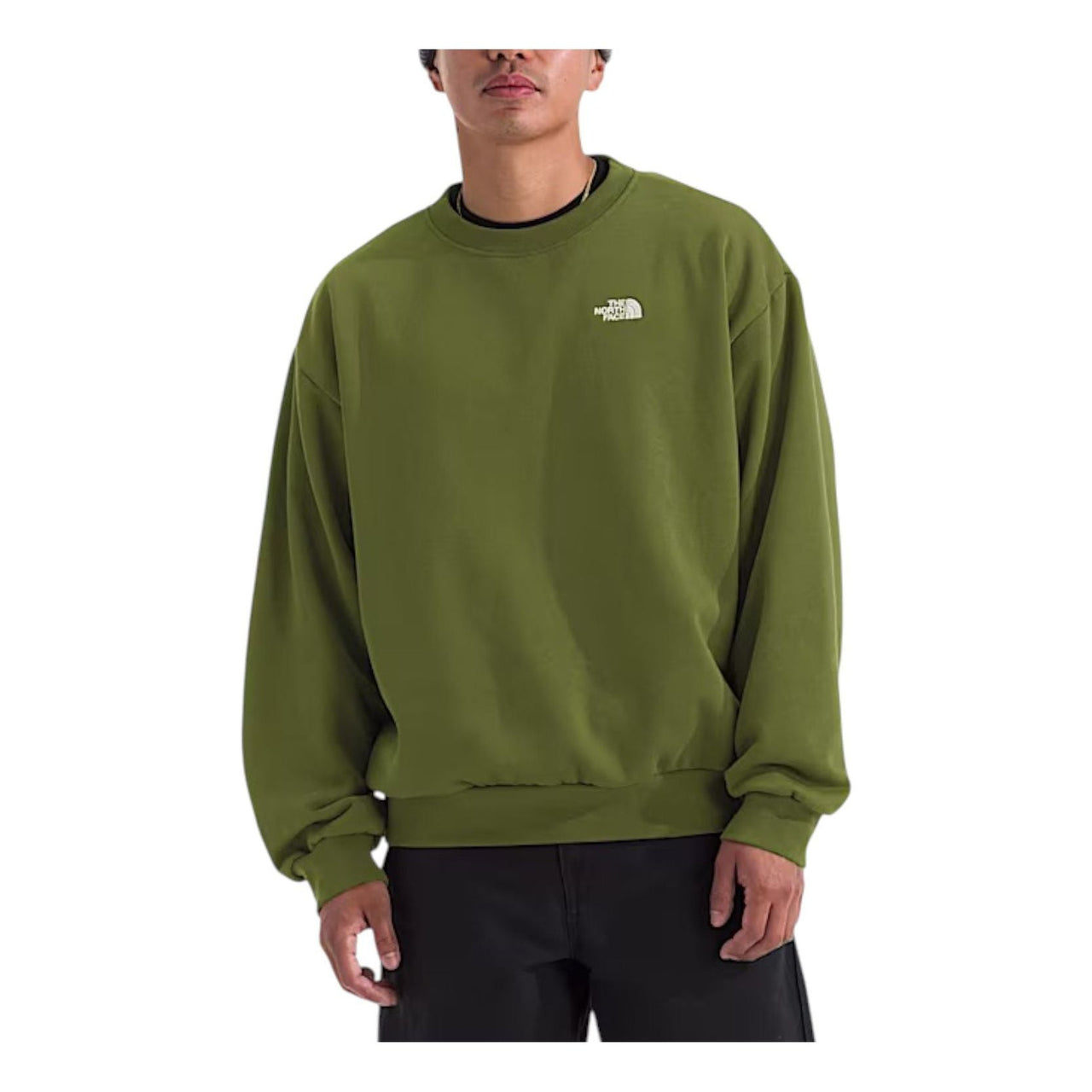 THE NORTH FACE Evolution Simple Dome Oversized 'Woodland Green' NF0A8FKR-BRI