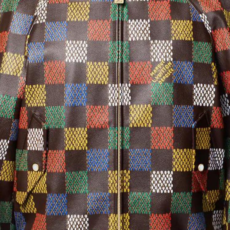 LOUIS VUITTON Damier Leather Blouson