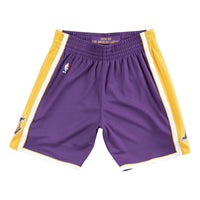 Mitchell & Ness NBA Authentic Shorts Los Angeles Lakers Road 2008-09 'Purple Yellow' ASHRGS18039-LALPURP08