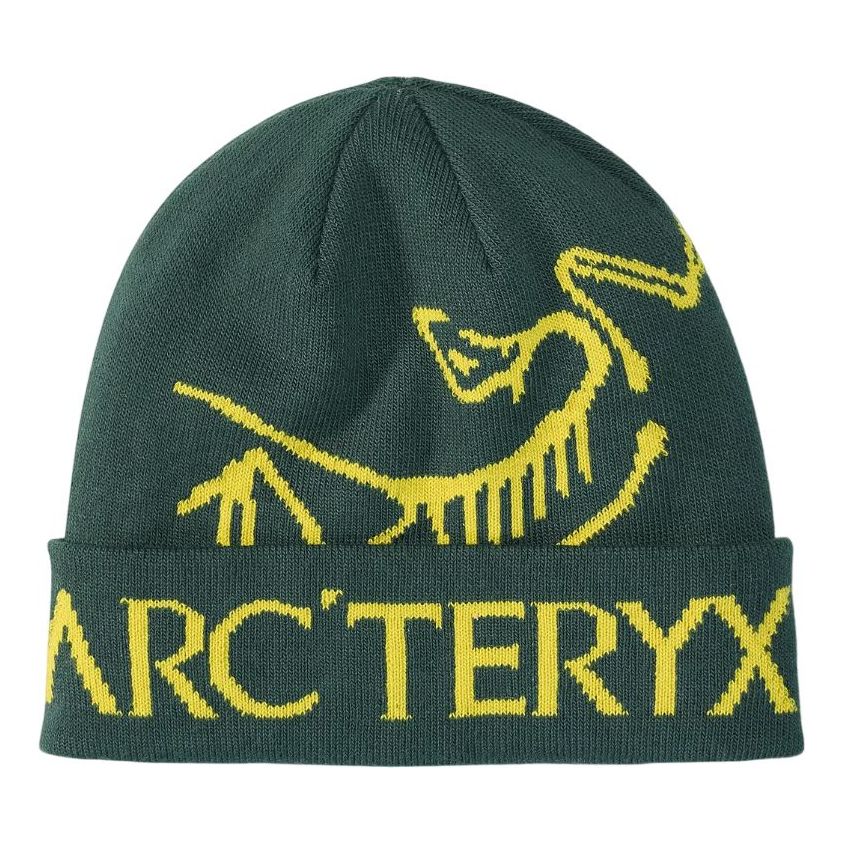 Arc'Teryx Bird Word Toque 'Lampyre Pytheas' X000006644-LP