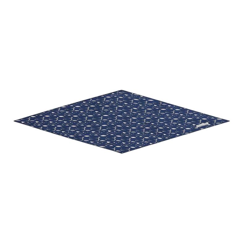 DIOR Silk Silk Scarves Women's Blue
