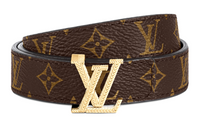 LOUIS VUITTON ICONIC LV ICONIC PRECIOUS 2cm Monogram Double Sided Belt Women's Brown