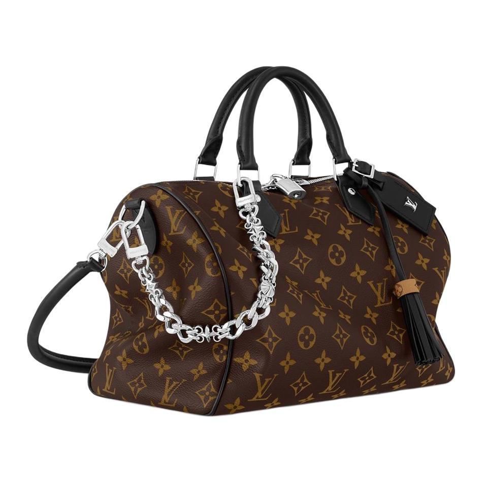 LOUIS VUITTON Speedy Soft 30 Dark