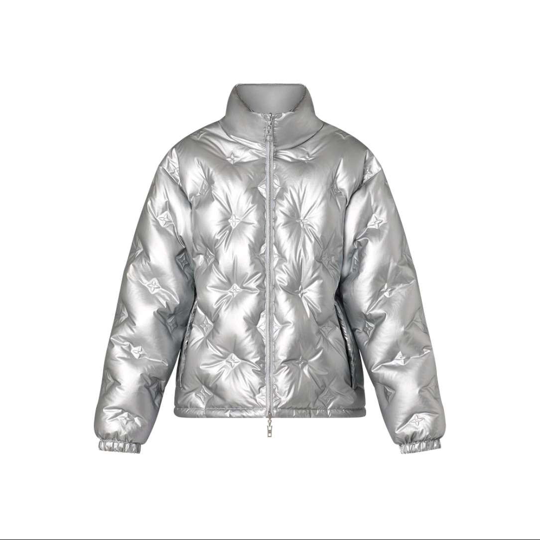 LOUIS VUITTON Down Jacket Women's Silver