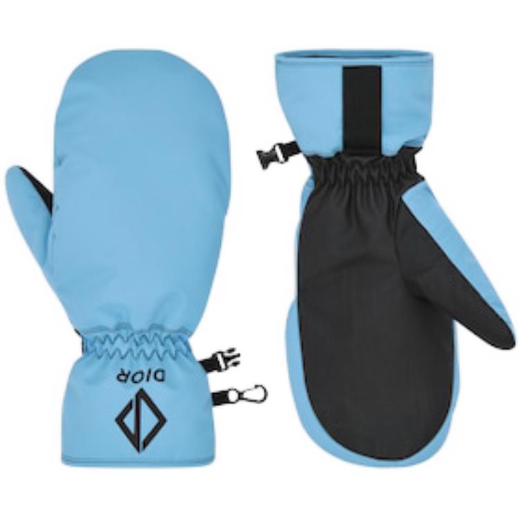 DIOR x PETER DOIG Ski Gloves Mittens