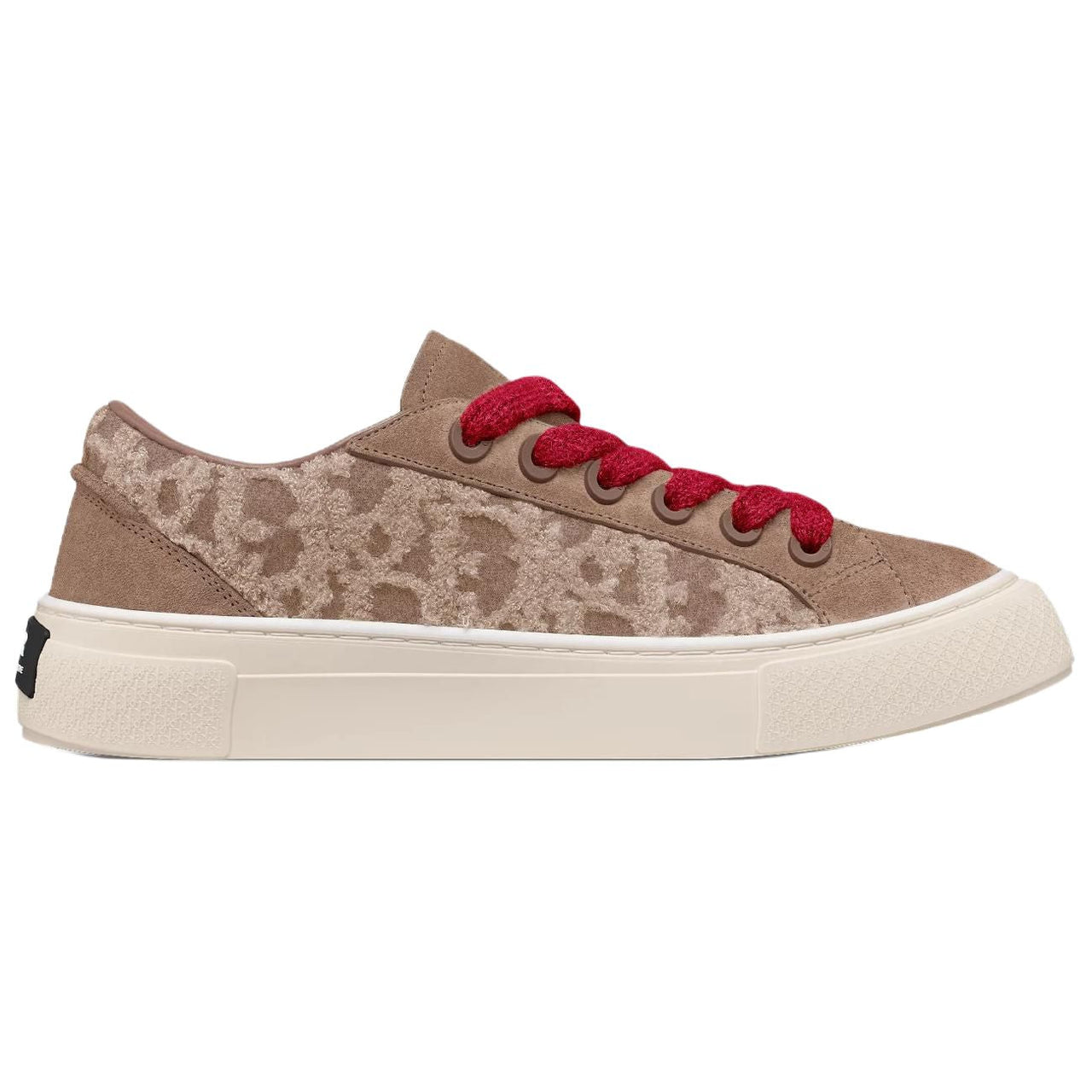 DIOR B33 Low-Top Skateboard Shoes Men's Gray Brown