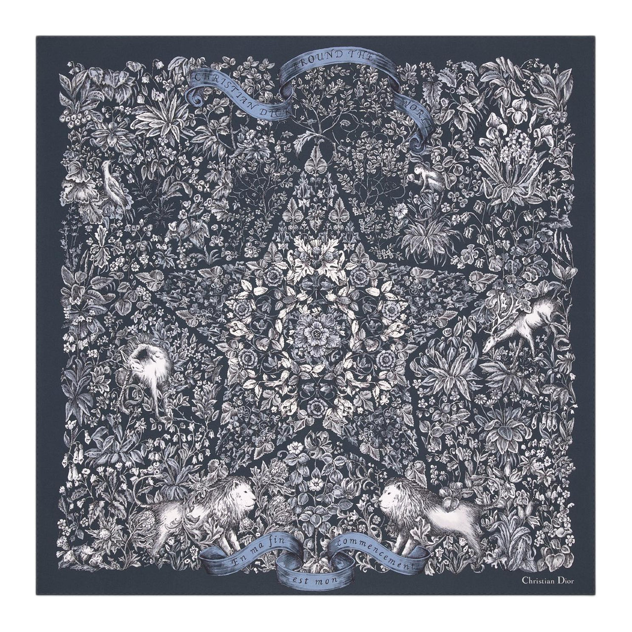 DIOR Silk Silk Scarves Unisex Blue