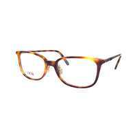 DIOR Eyeglass Frames Men
