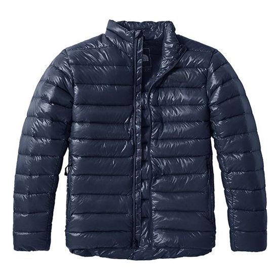 THE NORTH FACE Nuptse Jacket NF0A4N9Y-H2G