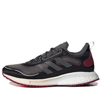 (WMNS) adidas Supernova Winter.Rdy 'Night Metallic Berry' FV4739