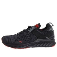 PUMA Ignite EvoKnit Lo 'Pavement Black' 189926-01