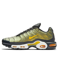 Nike Air Max Plus 'Liquid Metal Anthracite' AJ2013-005