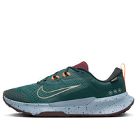 Nike Juniper Trail 2 Gore-Tex 'Deep Jungle' FB2067-300