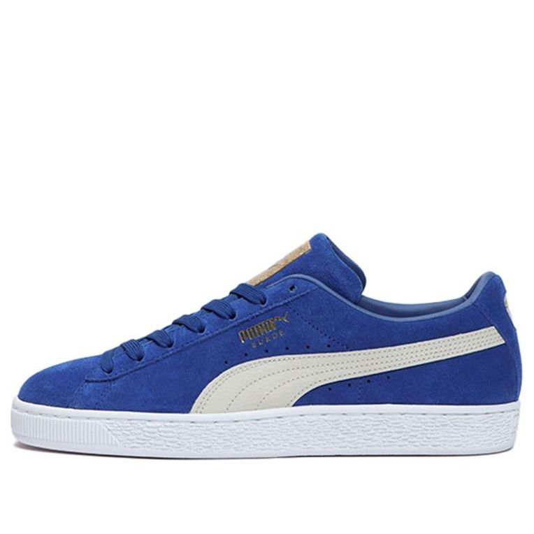 PUMA Suede Classic 'Pastime - Surf The Web' 387060-02