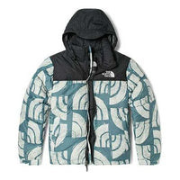 THE NORTH FACE 1996 Retro Nuptse 700 NF0A5IX4-537