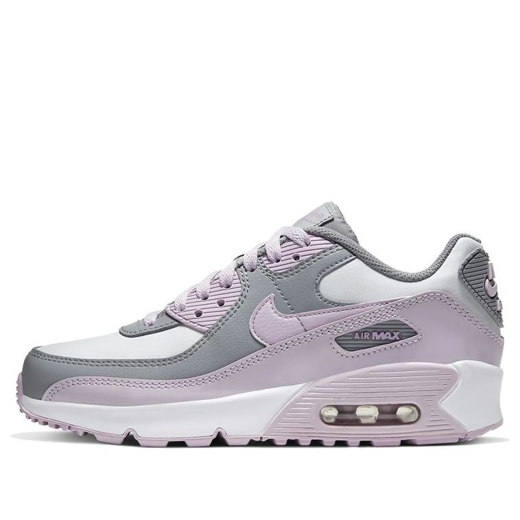 (GS) Nike Air Max 90 Leather 'Iced Lilac' CD6864-002