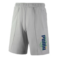 PUMA Logo Nature Shorts 'Grey' 538777-09