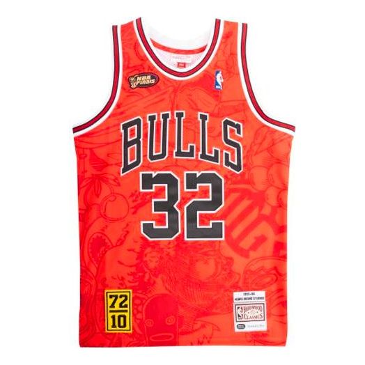 Mitchell & Ness NBA x Hebru Brantley 95-96 32 AJY4LF19082-CBURED1