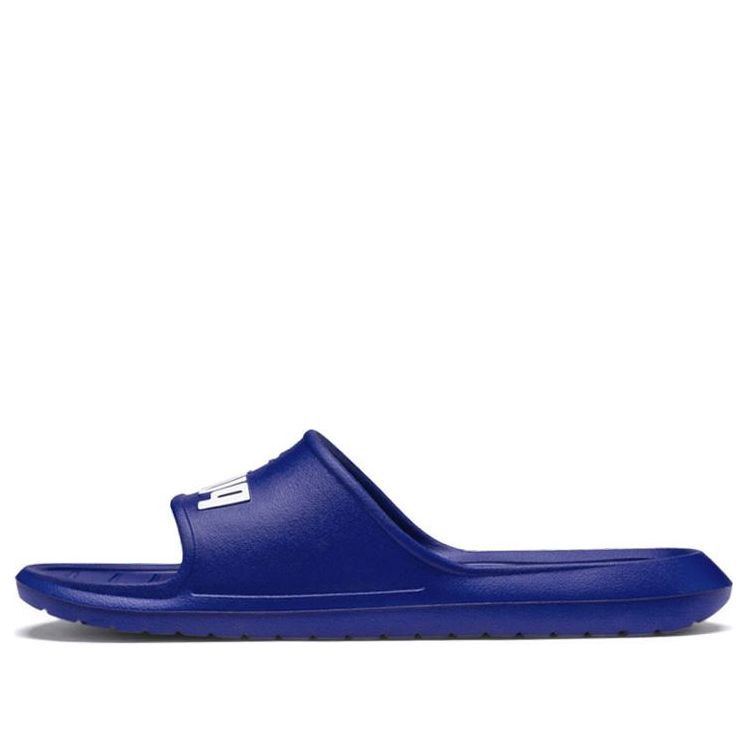 PUMA Divecat V2 Sandals 'Blue' 369400-03