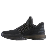 adidas Harden Volume 1 Xeno 'Black Ops' CG4940