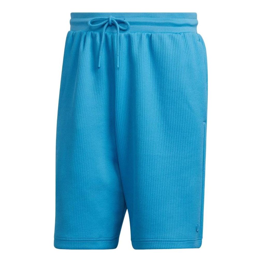 adidas originals Logo HC4617