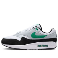 Nike Air Max 1 'Stadium Green' FN6952-100