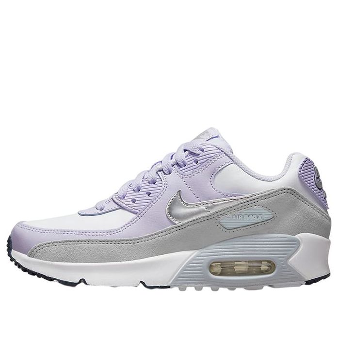 (GS) Nike Air Max 90 Leather 'Violet Frost' CD6864-123