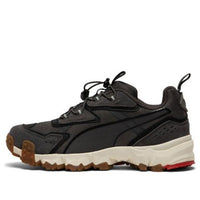 PUMA Trailfox Mts Water Gray 372220-02