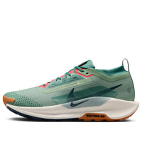 Nike Pegasus Trail 5 Gore-Tex 'Jade Horizon' FQ0908-300