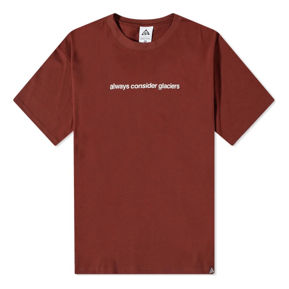 Nike ACG NRG Glacier T-Shirt 'Oxen Brown' DV9625-217