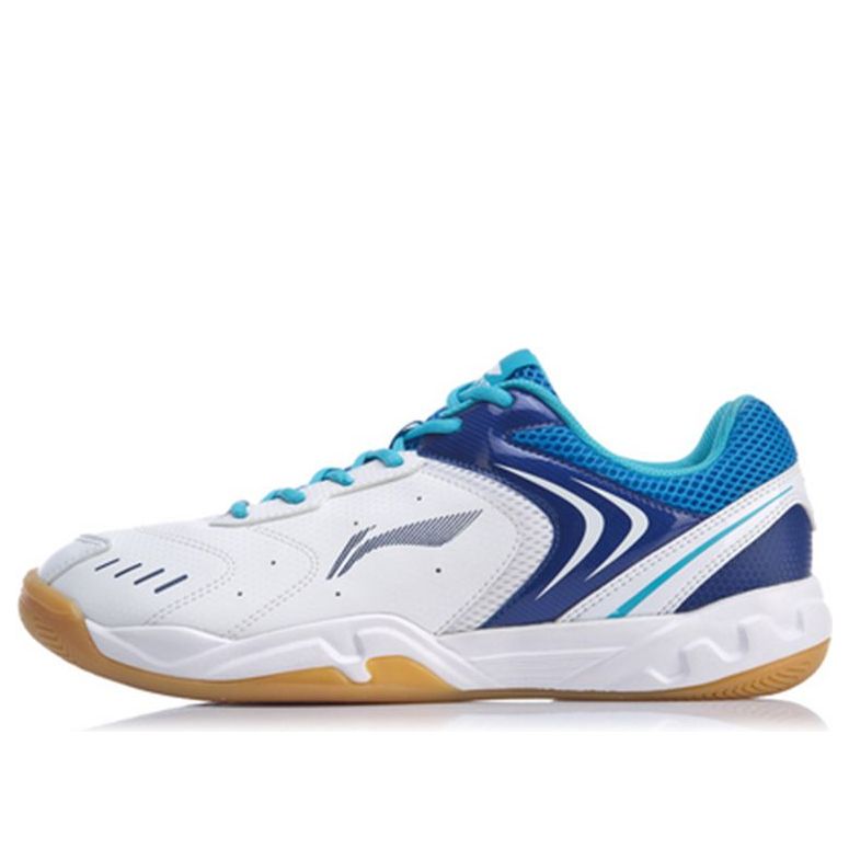 Li-Ning Badminton Training Shoes AYTP065-1