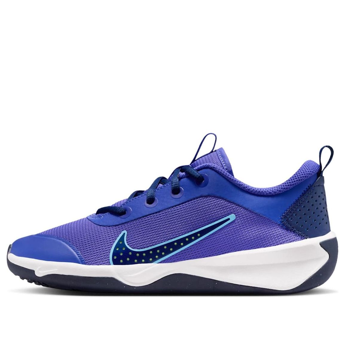 (GS) Nike Omni Multi-Court GS 'Persian Violet' DM9027-500