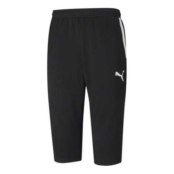 PUMA Team Liga Performance Pants 'Black' 657271-03