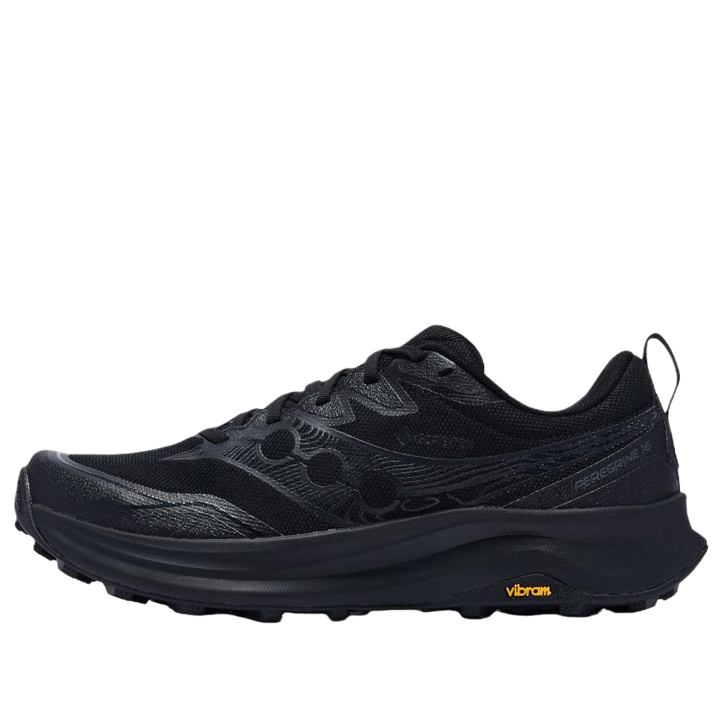 Saucony Peregrine 16 GTX 'Triple Black' S21068-102