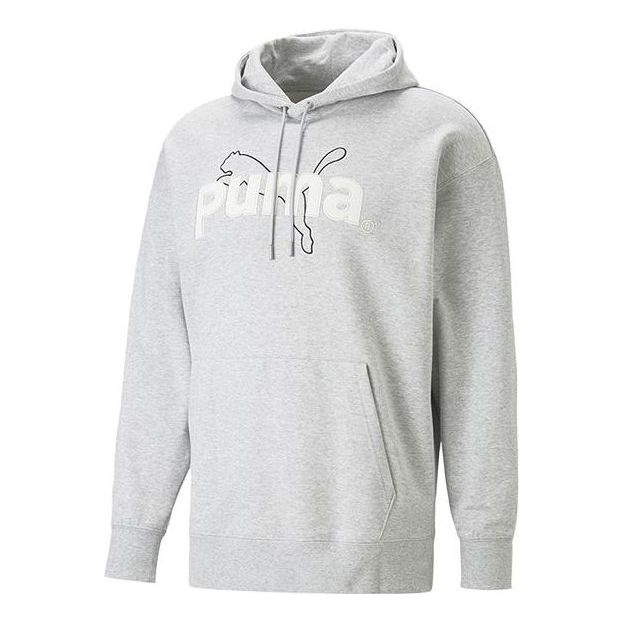 PUMA Team Graphic Hoodie 'Grey' 620631-04