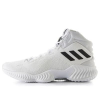 adidas Pro Bounce 2018 'Footwear White' AC7429