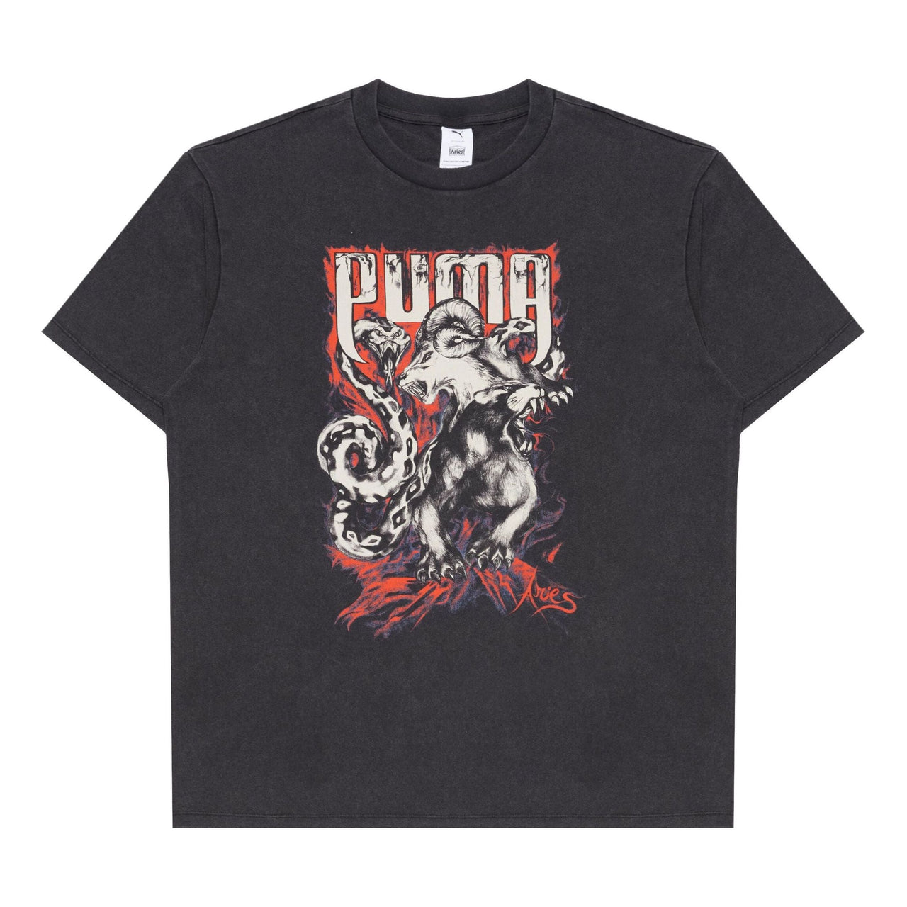 PUMA x ARIES Graphic T-shirt 'Black' 626551-01