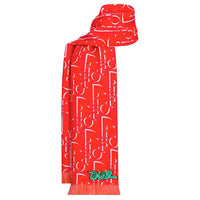 DIOR X Kaws Scarf