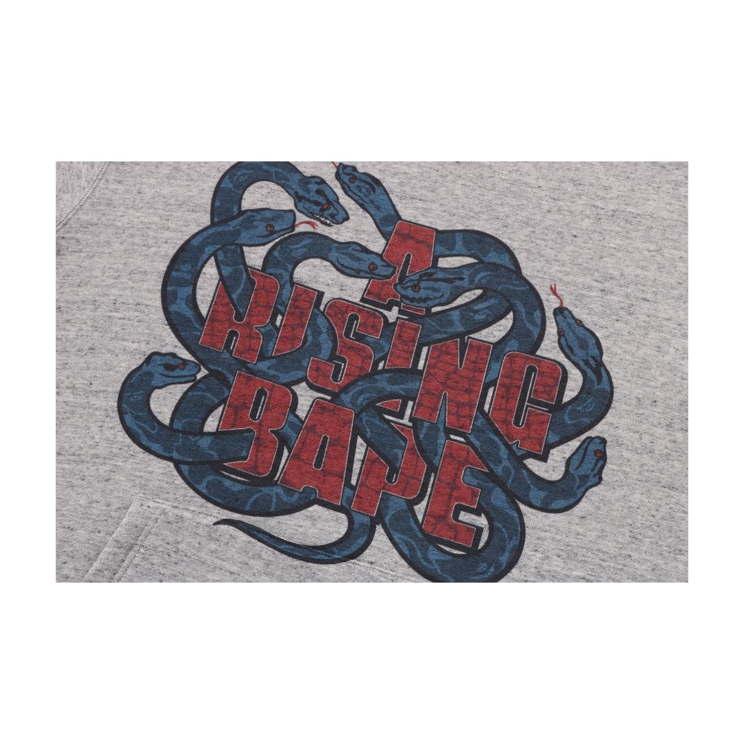 A Bathing Ape Year of Snake Hoodie 'Grey' 1L20-114-002-GRY
