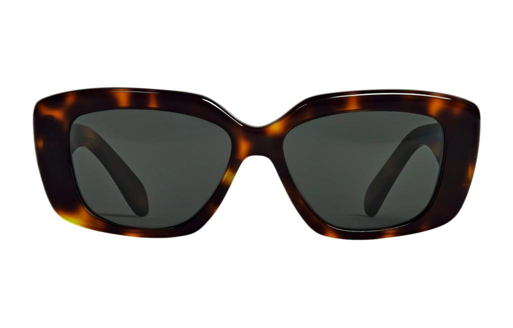 CELINE Triomphe 04 Sunglasses In Acetate