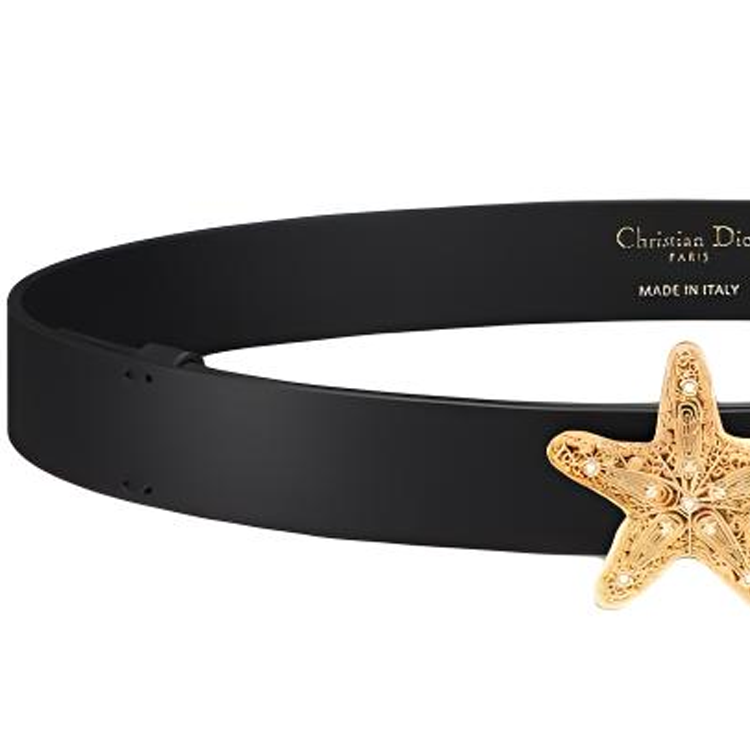 DIOR Cabinet Of Curiosities Belt