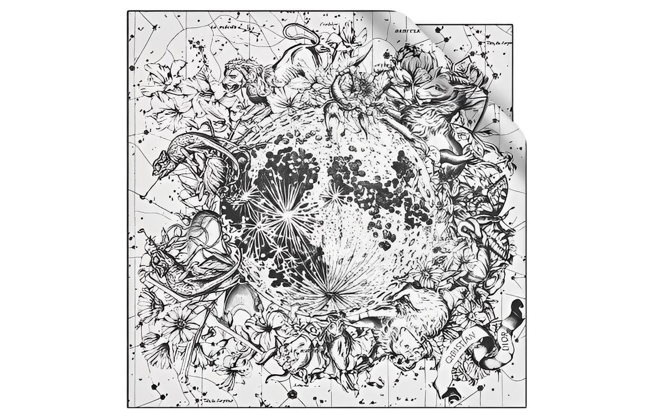 DIOR Silk Scarves Women's White/Black
