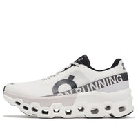 (WMNS) On Running Cloudmonster 2 'Undyed Frost' 3WE10112035