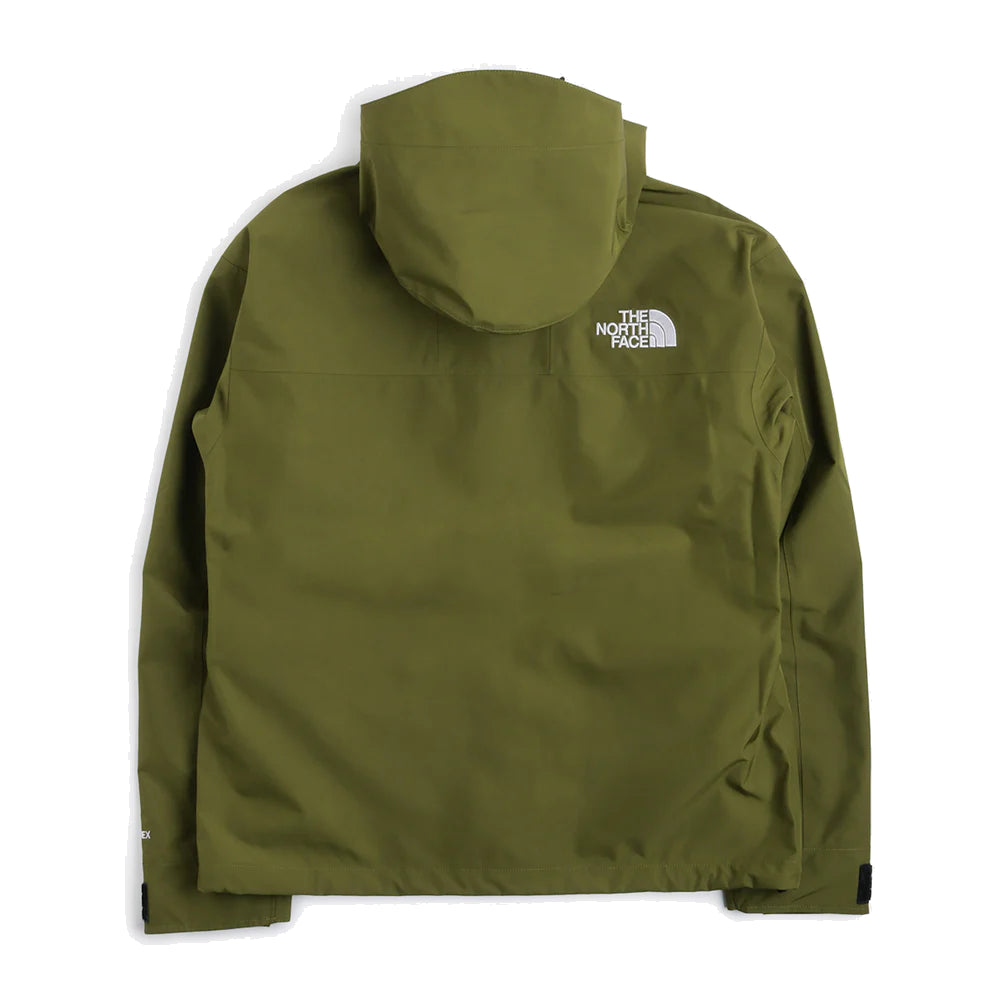 THE NORTH FACE Gore-Tex Mountain Jacket 'Forest Olive' NF0A831M-PIB
