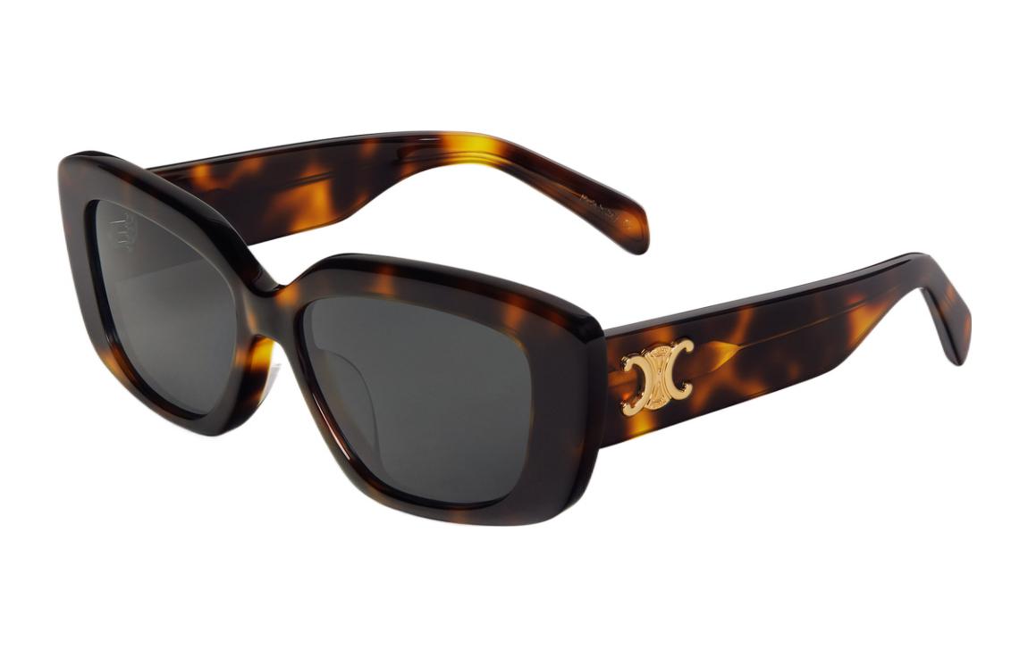 CELINE Triomphe 04 Sunglasses In Acetate