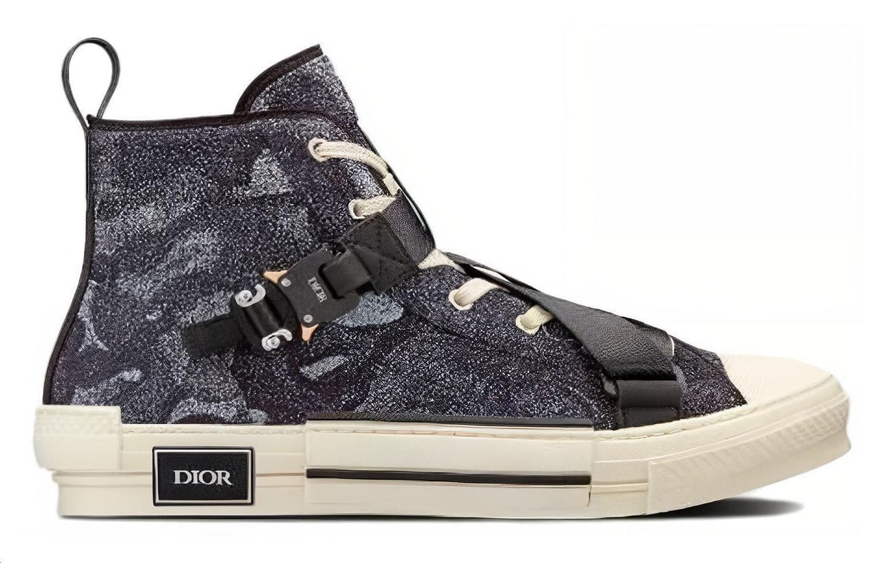 DIOR B23 X Peter Doig High Top