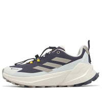 (WMNS) adidas x National Geographic Terrex Trailmaker 2 Gore-Tex 'Aurora Black Beige' JP7065