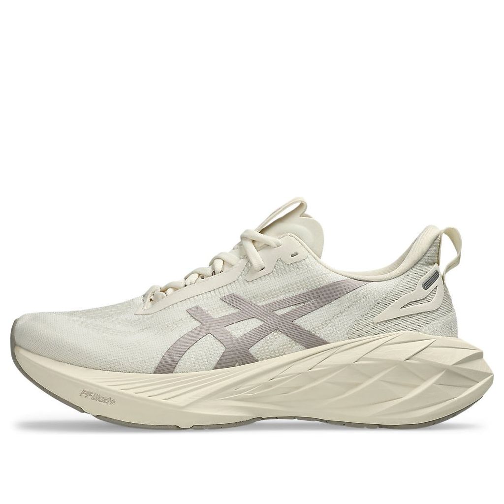 ASICS Novablast 4 LE 'Birch Moonrock' 1011B887-200