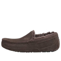 UGG Ascot Slipper 'Dusted Cocoa' 1101110-DDC